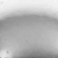 Silver-Tone Ball Stud Earring