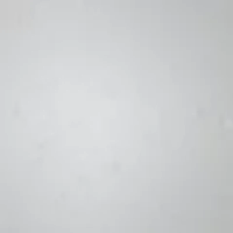 White Pearl Clip Earrings