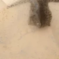 Set of 3 Gold-Tone Crystal Button Earrings 