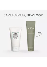 Checks and Balances™ Frothy Face Wash