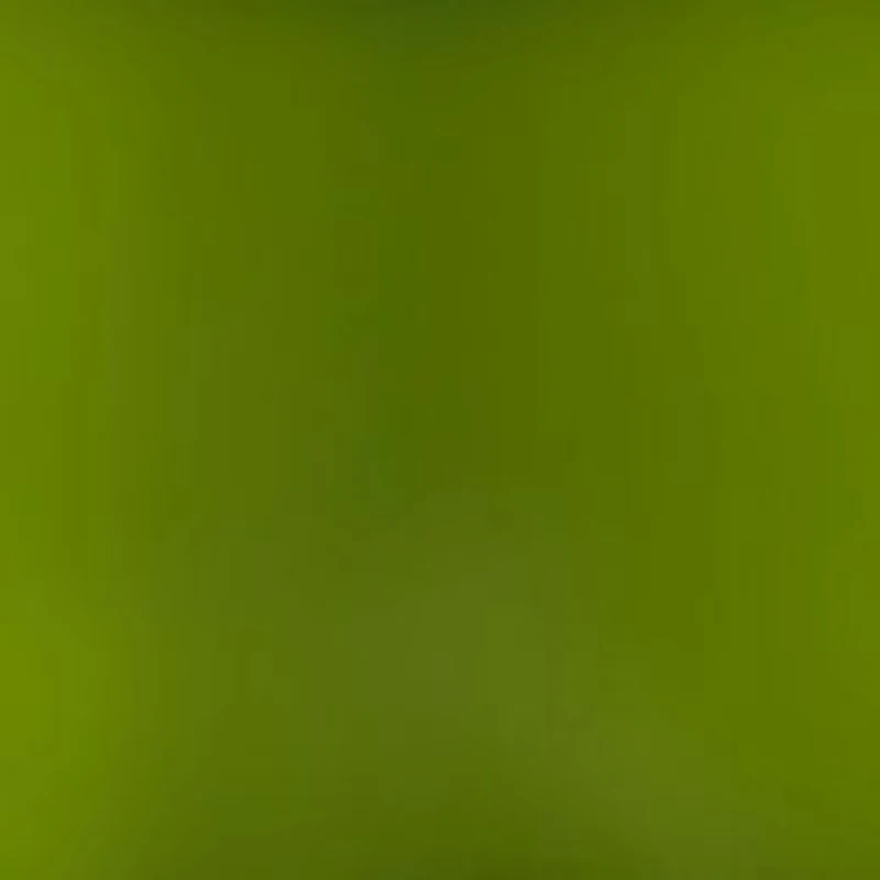 Dr. Andrew Weil for Origins™ Mega-Mushroom Soothing Hydra-Mist with Reishi and Snow Mushroom
