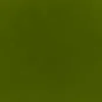 Dr. Andrew Weil For Origins™ Mega-Mushroom Relief & Resilience Advanced Face Serum 