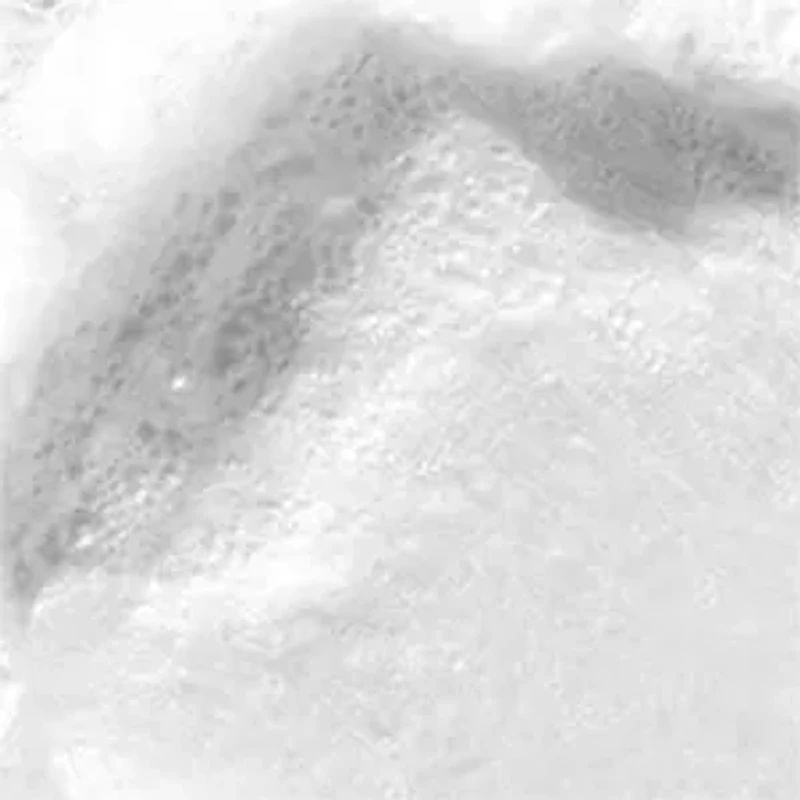 Checks and Balances™ Frothy Face Wash 