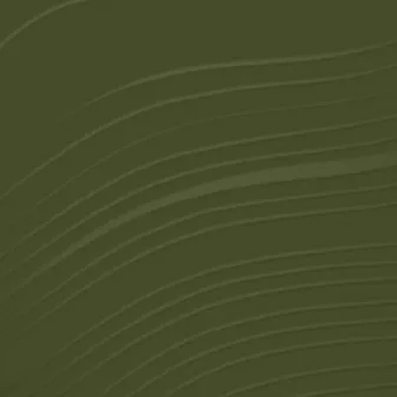 Dr. Andrew Weil for Origins™ Mega-Mushroom Relief & Resilience Soothing Treatment Lotion