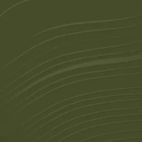 Dr. Andrew Weil for Origins™ Mega-Mushroom Relief & Resilience Soothing Treatment Lotion