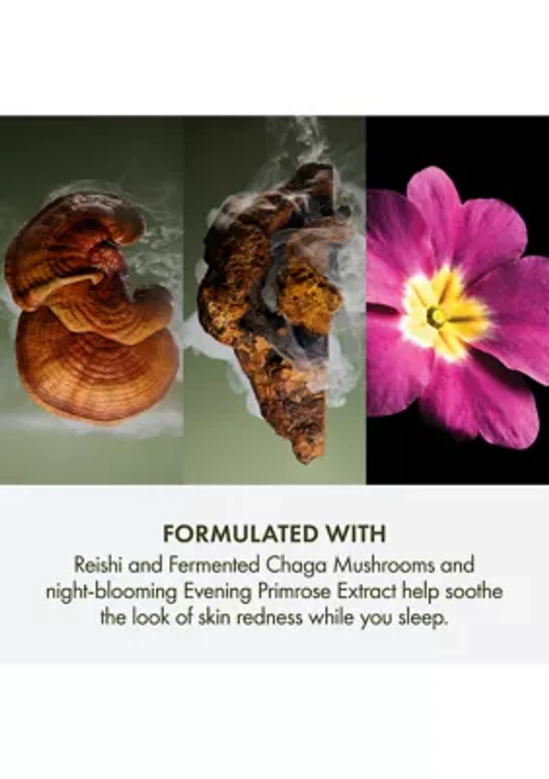 Dr. Andrew Weil for Origins™  Mega Mushroom Overnight Recovery Cream 
