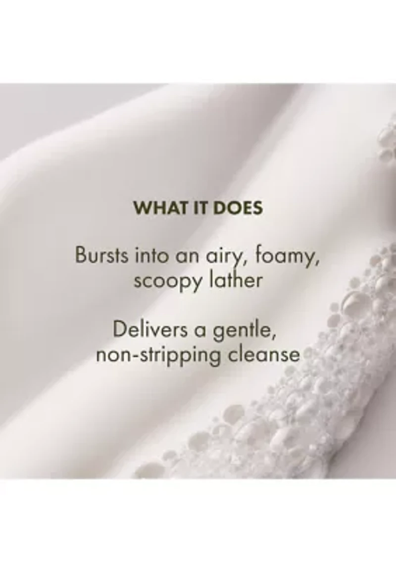 Checks and Balances™ Sensitive Foaming Cleanser