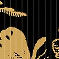 Bloom Parfum for Women