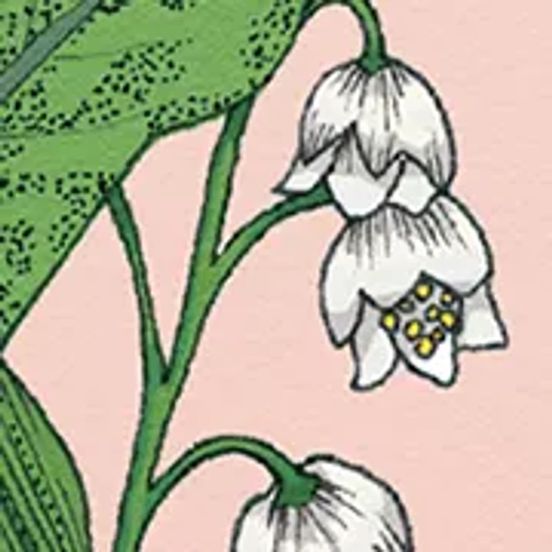 amazing grace bergamot Eau de Toilette
