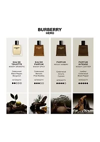 Hero Eau de Parfum for Men