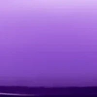 Euphoria Bold Elixir Parfum Intense