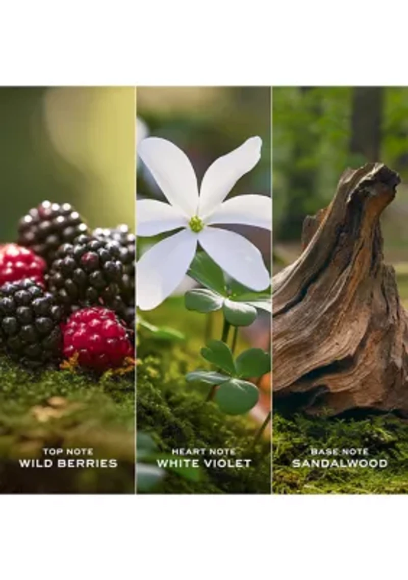 Daisy Eau de Toilette for Women Trio Gift Set - $206 Value!