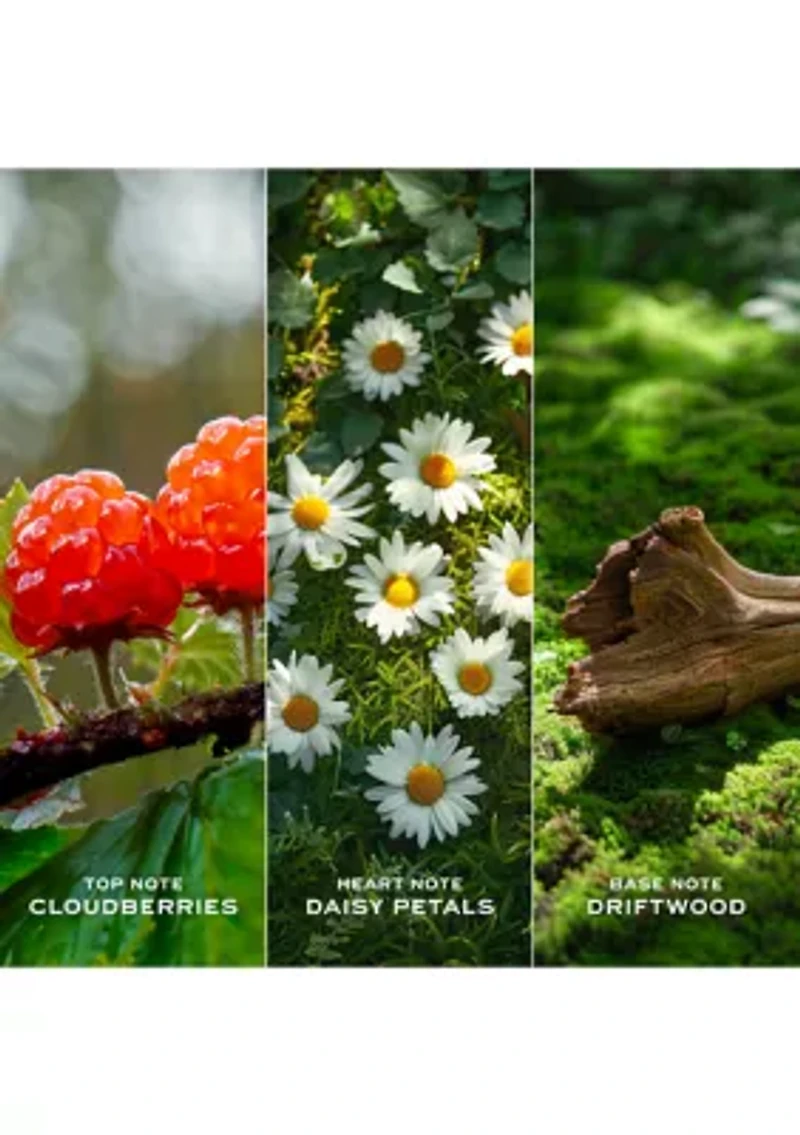 Daisy Love Eau de Toilette for Women Trio Gift Set - $206 Value!