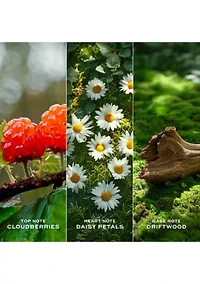 Daisy Love Eau de Toilette for Women Trio Gift Set - $206 Value!