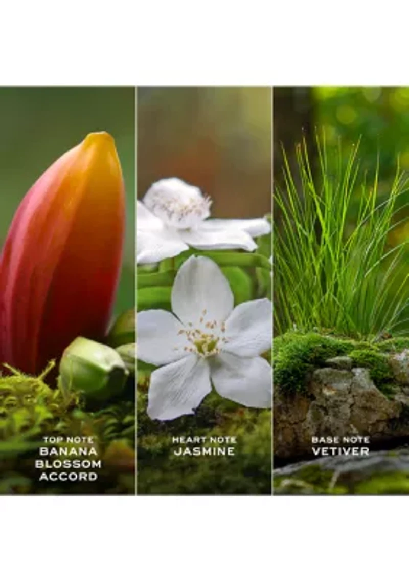 Daisy Wild Eau de Parfum for Women Trio Gift Set - $229 Value!