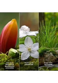 Daisy Wild Eau de Parfum for Women Trio Gift Set - $229 Value!