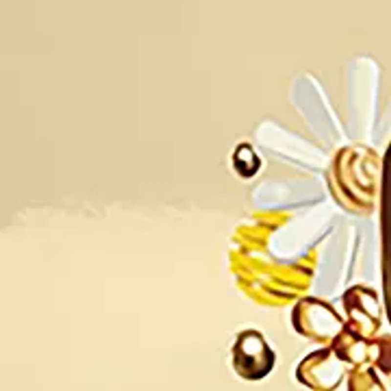 4-Piece Daisy Gift Set