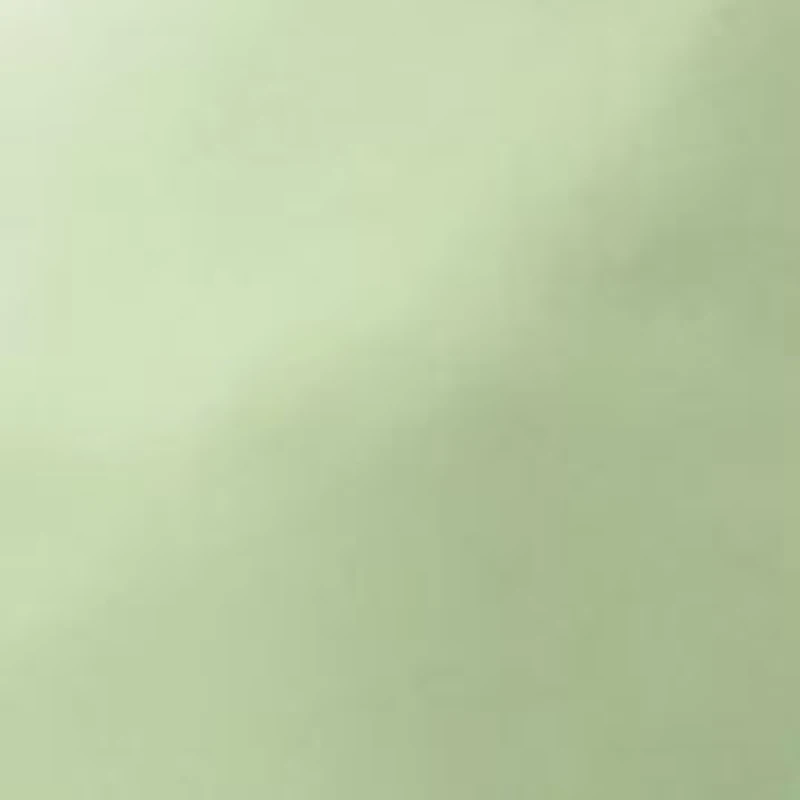 wrapped up in matcha hydrating shower gel, bubble bath, & shampoo