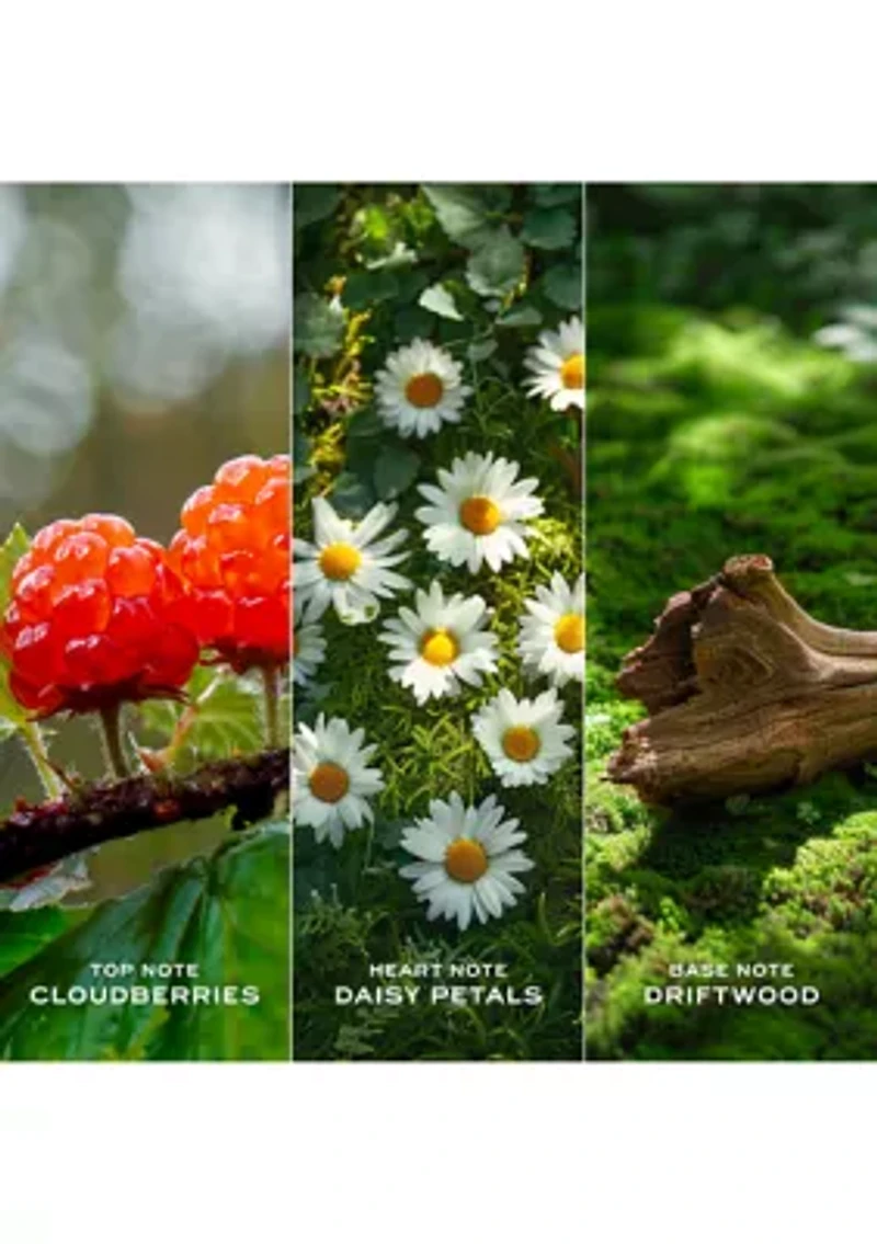 Daisy Love Eau de Toilette for Women Trio Gift Set