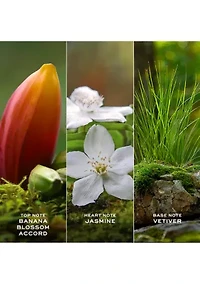 Daisy Wild Eau de Parfum for Women & Body Lotion Trio Gift Set