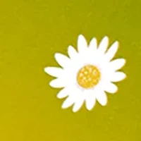 Daisy Wild Eau de Toilette for Women Travel Spray Duo Gift Set