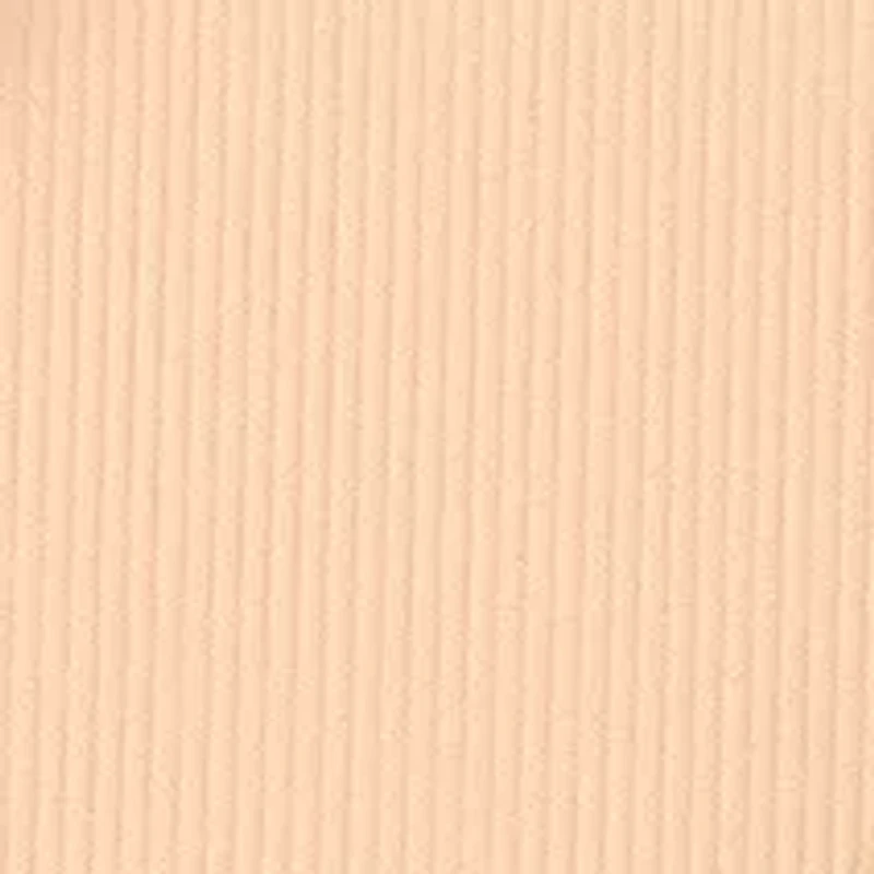 Stay-Matte Sheer Pressed Powder Foundation