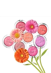 Cheek Pop™ Powder Blush