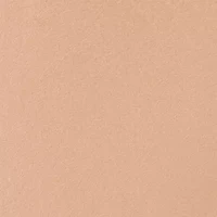 Almost Powder Makeup Broad Spectrum SPF 18 Foundation