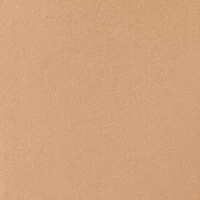 Almost Powder Makeup Broad Spectrum SPF 18 Foundation