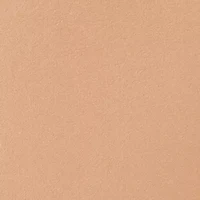 Almost Powder Makeup Broad Spectrum SPF 18 Foundation