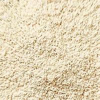 Blended Face Setting Powder