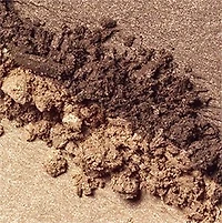 All About Shadow™ Duo Eyeshadow