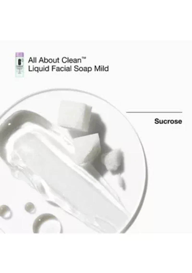 Great Skin Everywhere Skincare Gift Set for Dry Combination Skin - $120 Value!