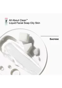 Great Skin Everywhere Skincare Gift Set for Combination Oily Skin - $120 Value!