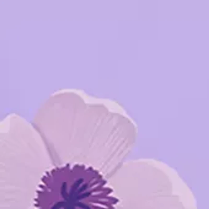 The Lash Lineup Mascara Makeup Gift Set - $53 Value!