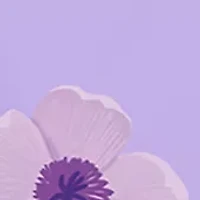 The Lash Lineup Mascara Makeup Gift Set - $53 Value!