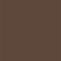 Beautiful Color Brow Perfector