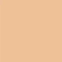 Pure Finish Mineral Foundation