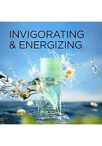 Green Tea Scent Spray