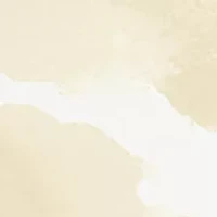 White Tea Pure Indulgence Body Cream