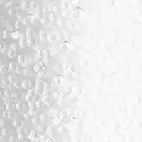 Ceramide Micro Capsule Skin Replenishing Essence