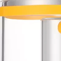  PREVAGE Anti-Aging Daily Serum 2.0, Face Moisturizer with Idebenone 
