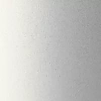 Prevage Anti-Aging Overnight Cream
