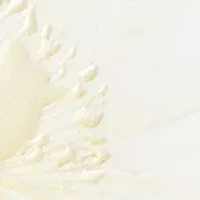 White Tea Eau de Parfum 2-Piece Fragrance Gift Set - $113 Value!