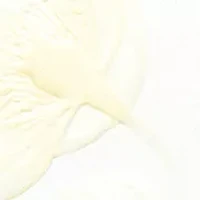 White Tea Fragrance Collection Mini Coffret - $42 value!