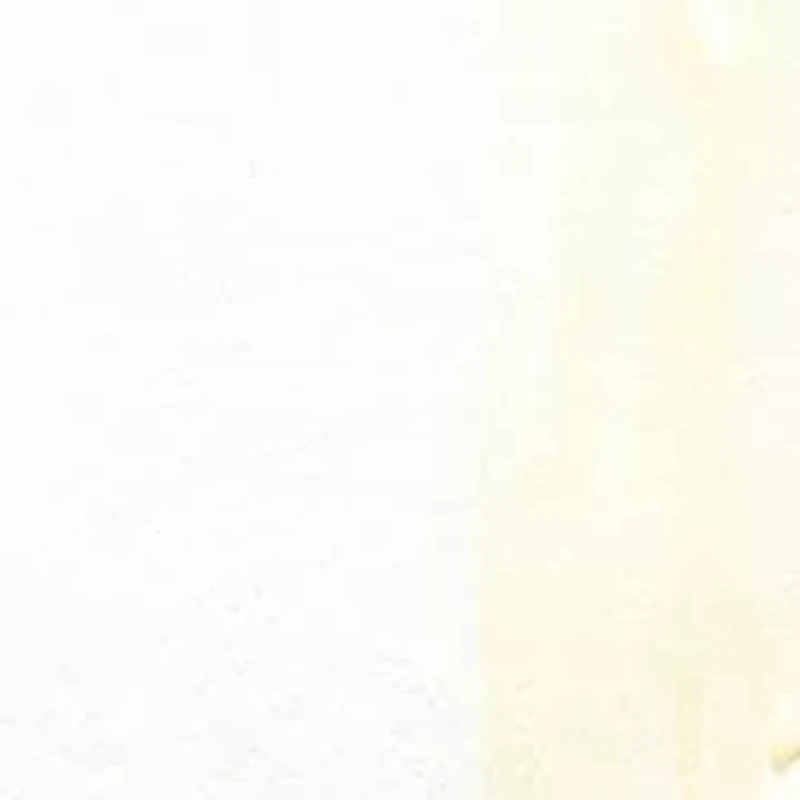 White Tea Fragrance Collection Mini Coffret 3-Piece Set