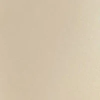 Ceramide Premiere Overnight Regeneration Cream