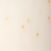 Green Tea Honey Drops Body Cream