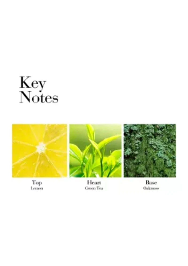 Green Tea Honey Drops Body Cream