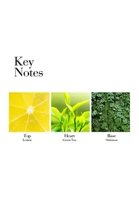 Green Tea Honey Drops Body Cream